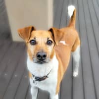 Photo of Sunny 