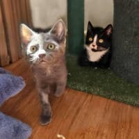 Photo of 🌹 Marnie 🌹