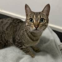 Photo of Astro