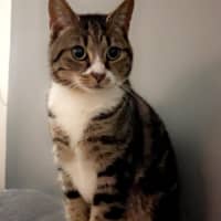 Photo of Maisie And Luna 