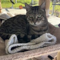 Photo of Jasper