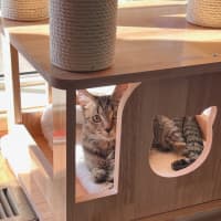 Photo of Nadia & Mishka 