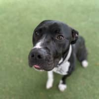 Photo of Zeus