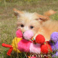 Photo of Matilda  *Relisted*