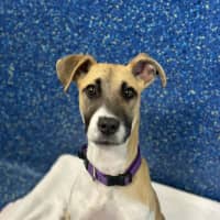 Photo of Elsie