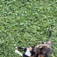 Photo of Georgie