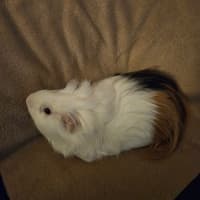 Photo of Kayden