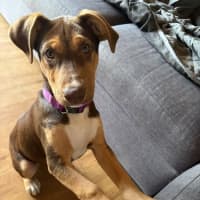 Photo of Winnie