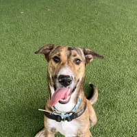 Photo of Zeus