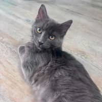 Photo of Cassian