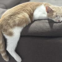 Photo of Ernie