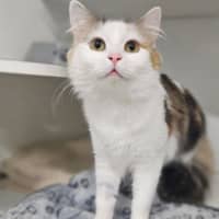 Photo of Mimi