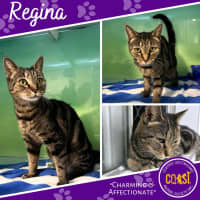 Photo of Regina