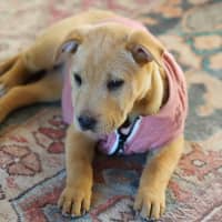 Photo of Winnie