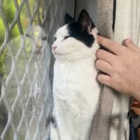 Photo of Atlas