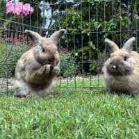 Photo of Belle And Jasmine