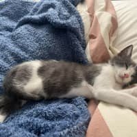 Photo of Eloise