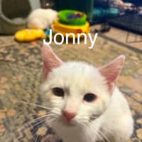Photo of Jonny 