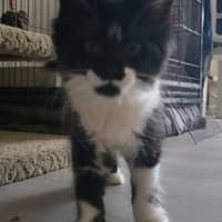 Photo of Arwen