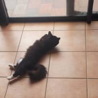 Photo of 💕 Phoebe Buffay 💕