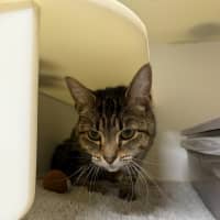 Photo of 🌨️ Misty 6956 🌨️