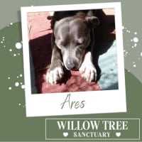 Photo of Ares