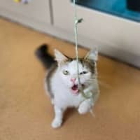 Photo of Maeve