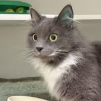 Photo of Stormy