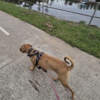 Photo of Mira