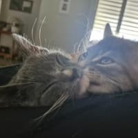 Photo of Tasha