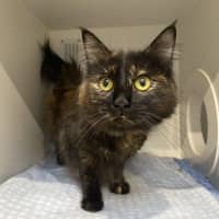 Photo of Esmeralda