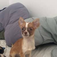 Photo of Jersey
