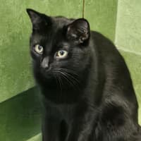 Photo of Narga