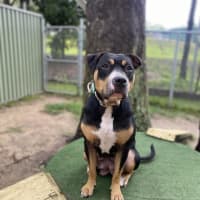 Photo of Marnie