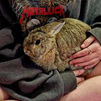 Photo of Frangelico