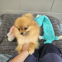 Photo of Evie