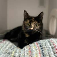 Photo of Toast