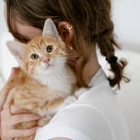Photo of Dex