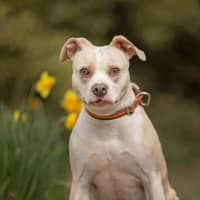 Photo of Holly