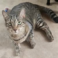 Photo of Storm