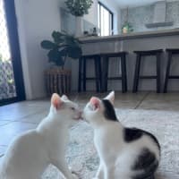 Photo of Ghost