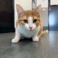 Photo of Molly