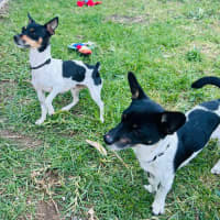 Photo of Jack And Jill 