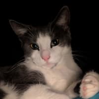 Photo of Octavia