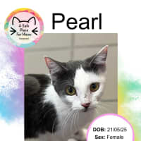 Photo of Pearl