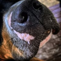 Photo of Marnie