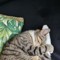 Photo of Gemma