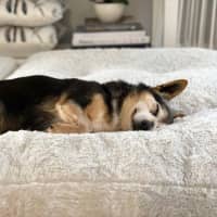 Photo of Miguel Kumara