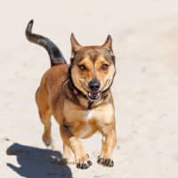 Photo of Milly Milly