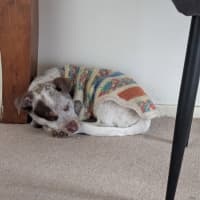 Photo of Billy